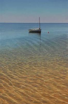 Sample artwork by Patrick Kitson (Born 1970), known for wildlife, landscape - View similar artists and auction records